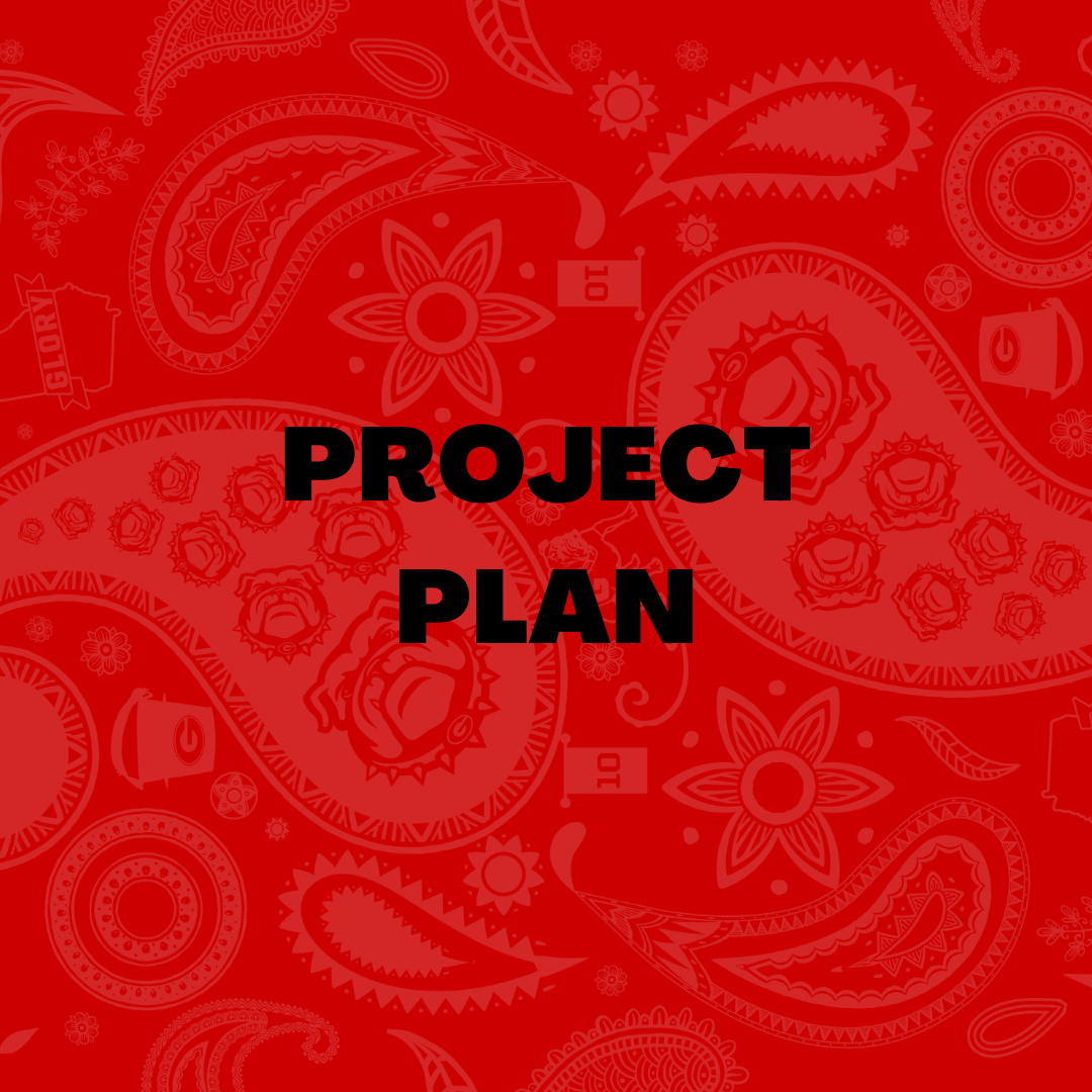 Project Placeholder Image