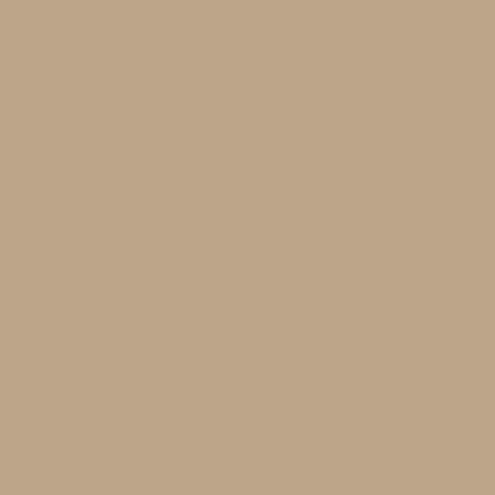 image of beige tan color
