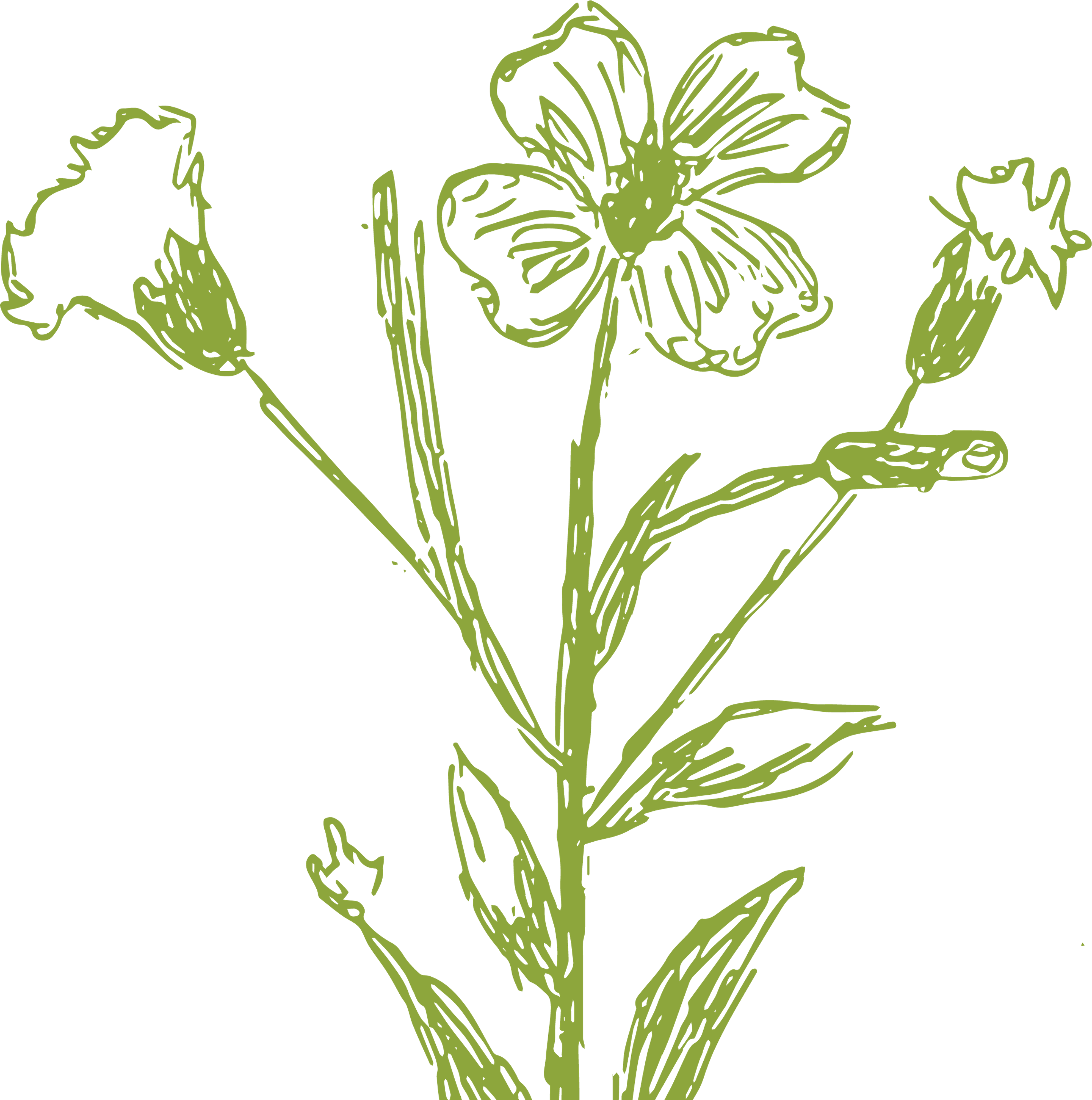 Green Flower