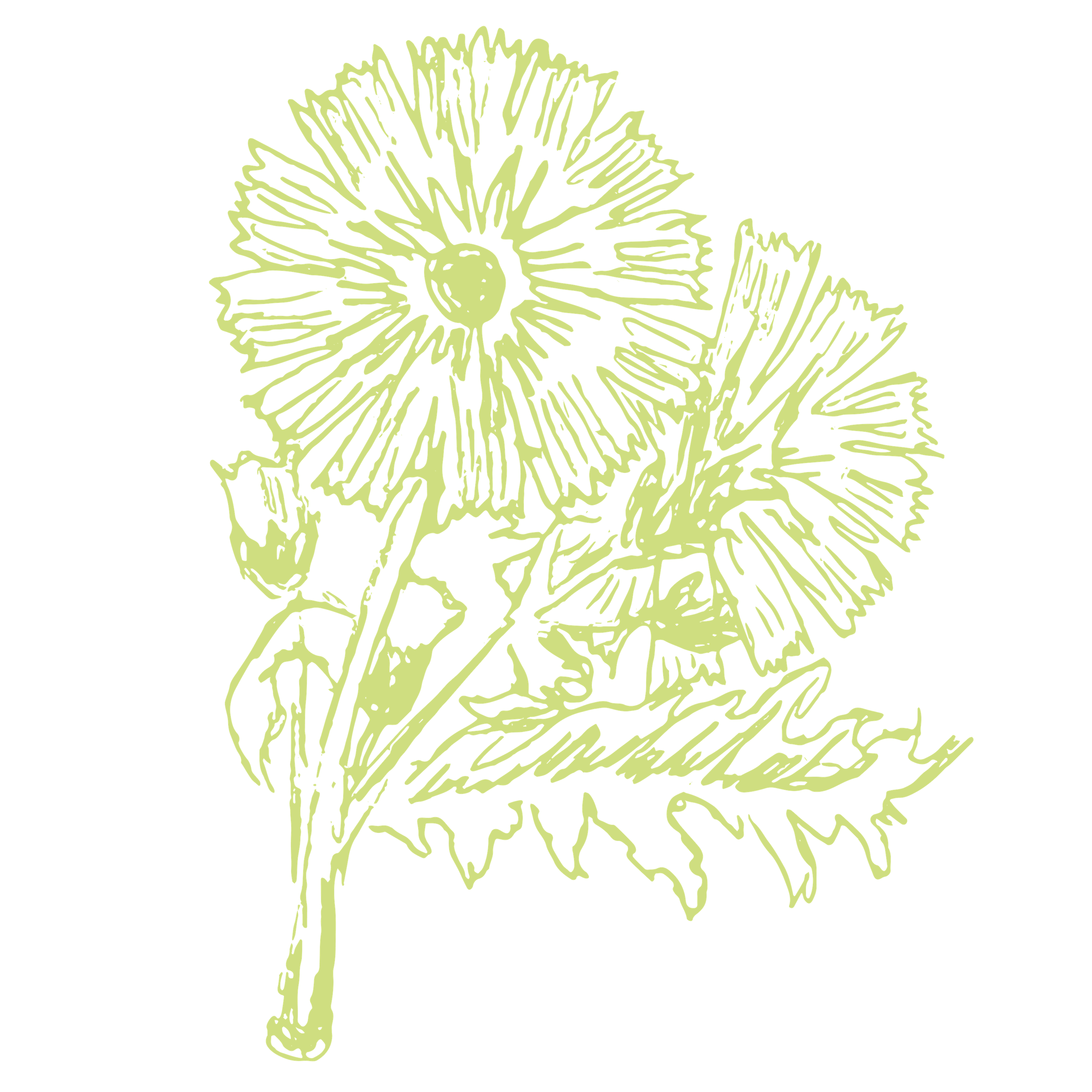 Light Green Flower