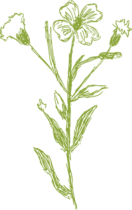 dark green flower