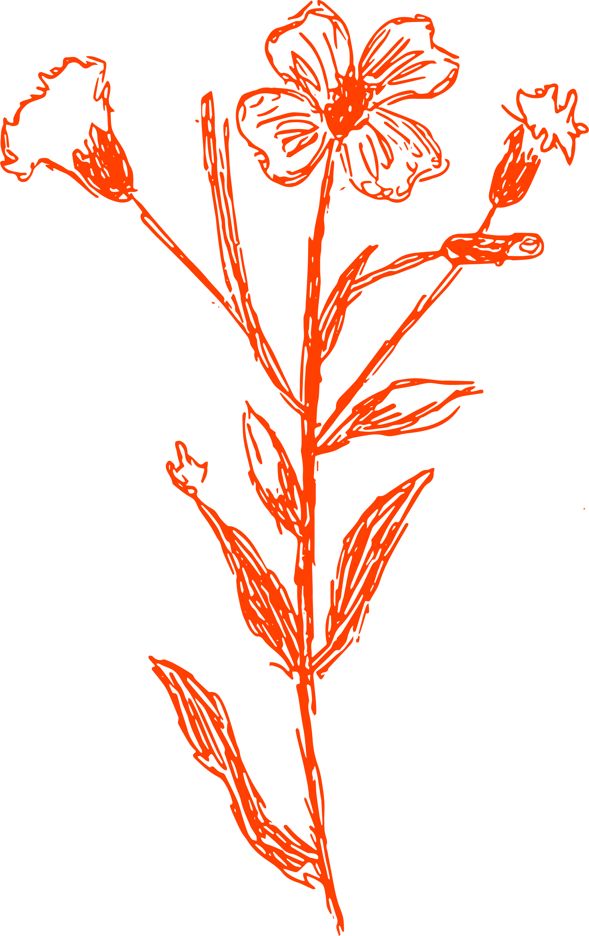 red flower
