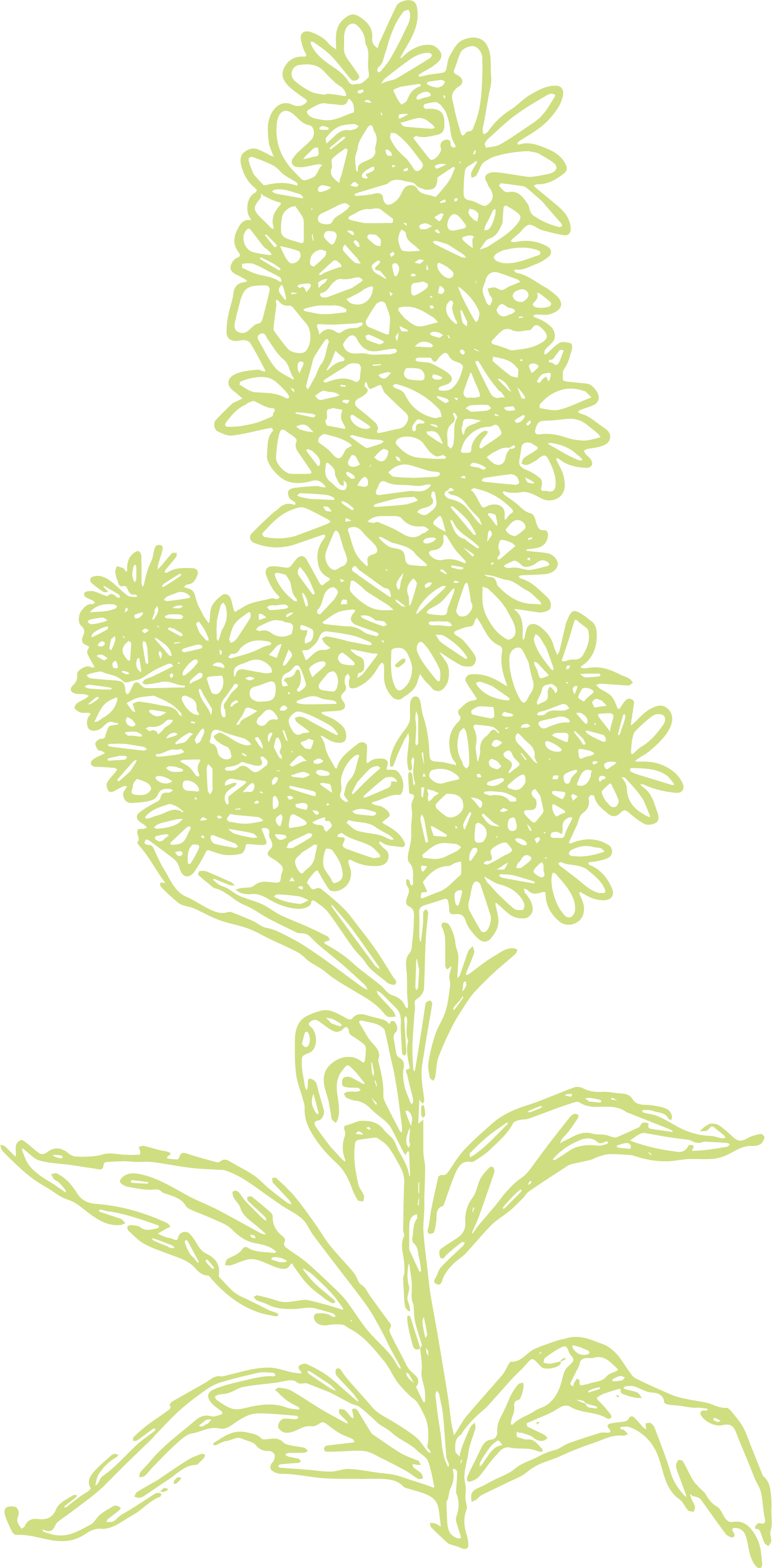 green flower