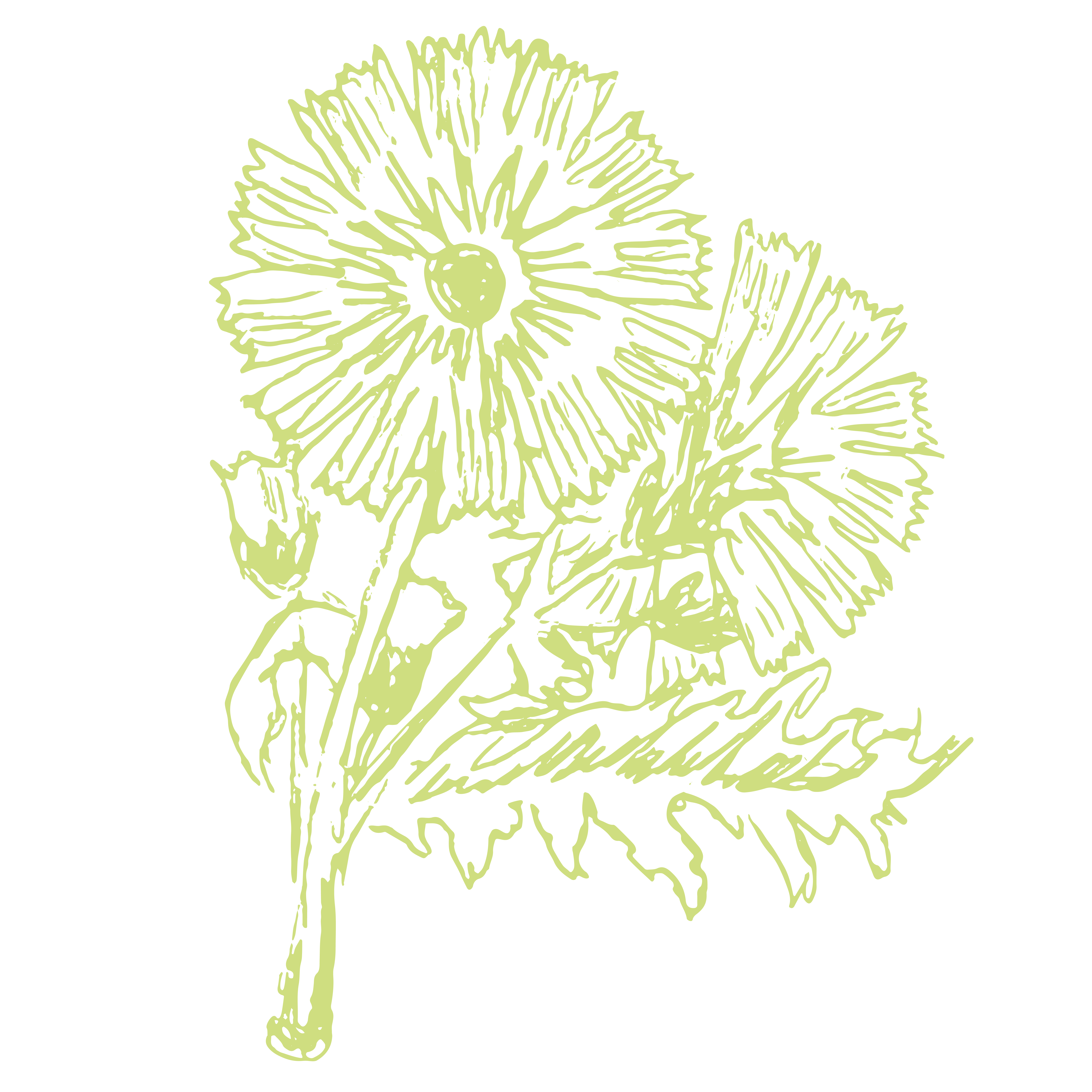 light green flower