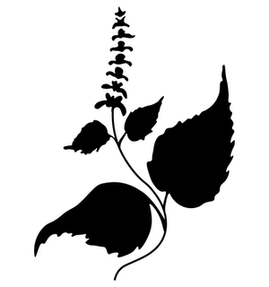 black herb logo