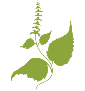 Green Herb Logo