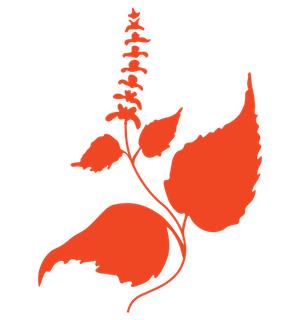 Red Herb Logo