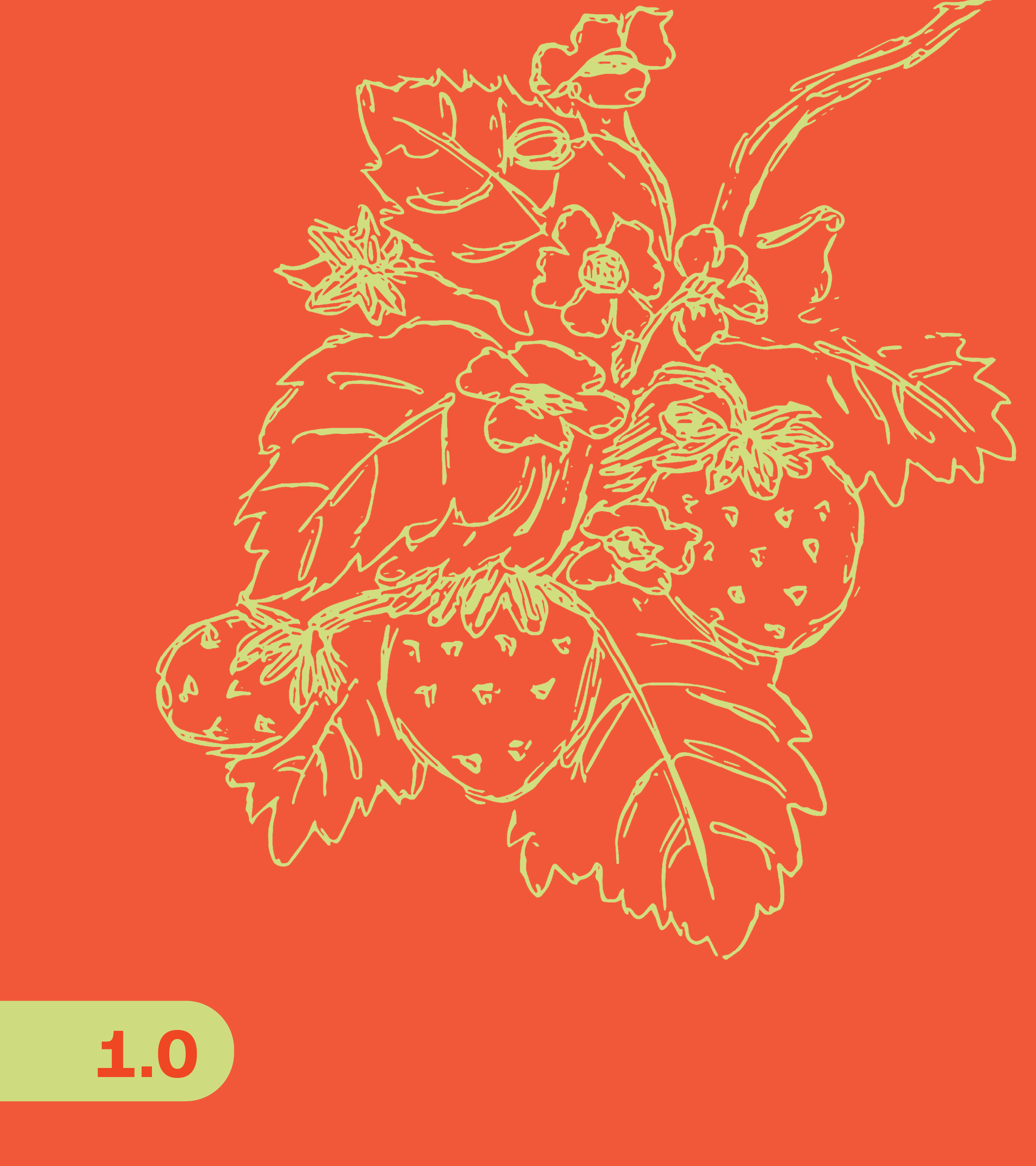 1.0 Image