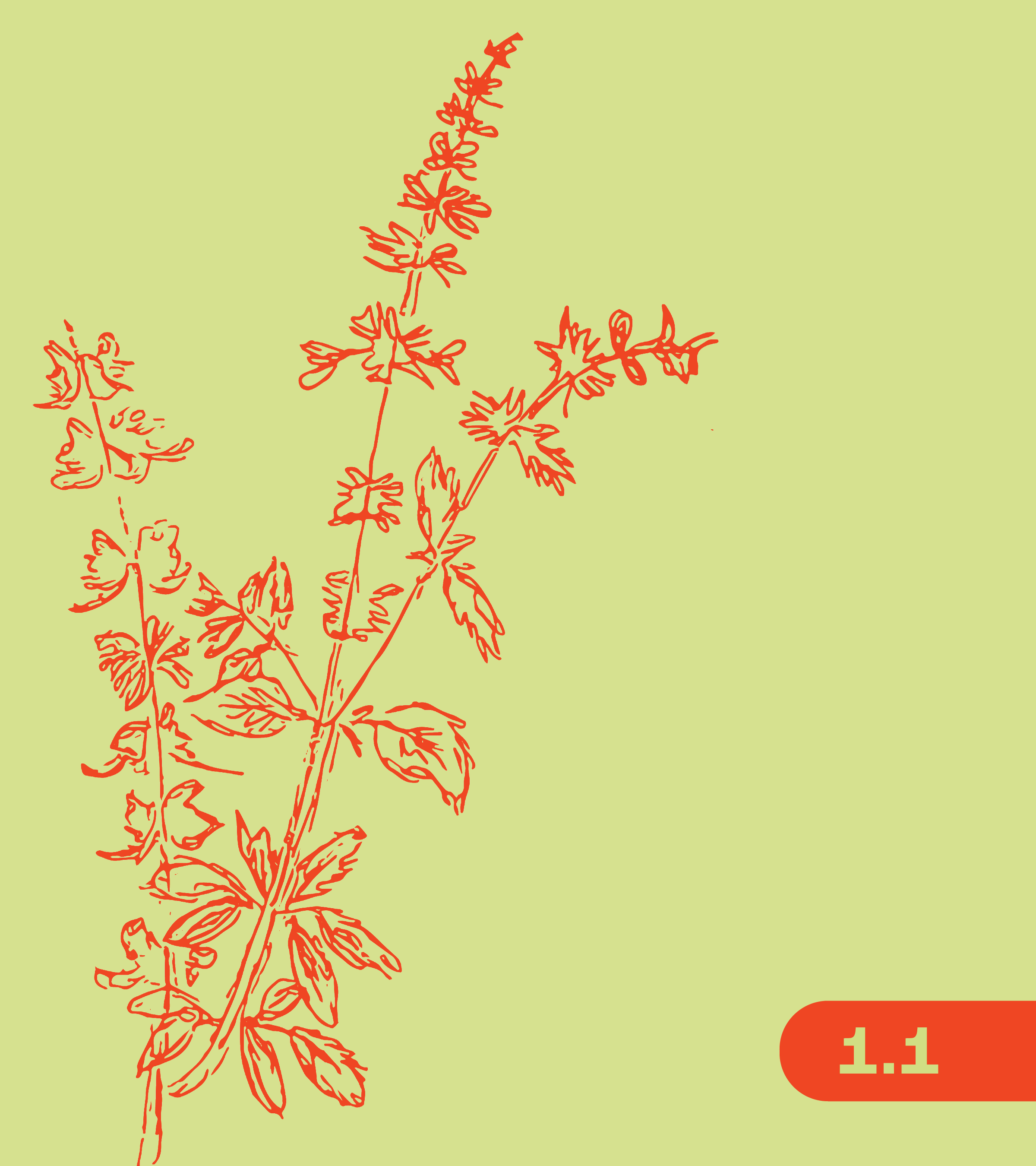 1.1 Image