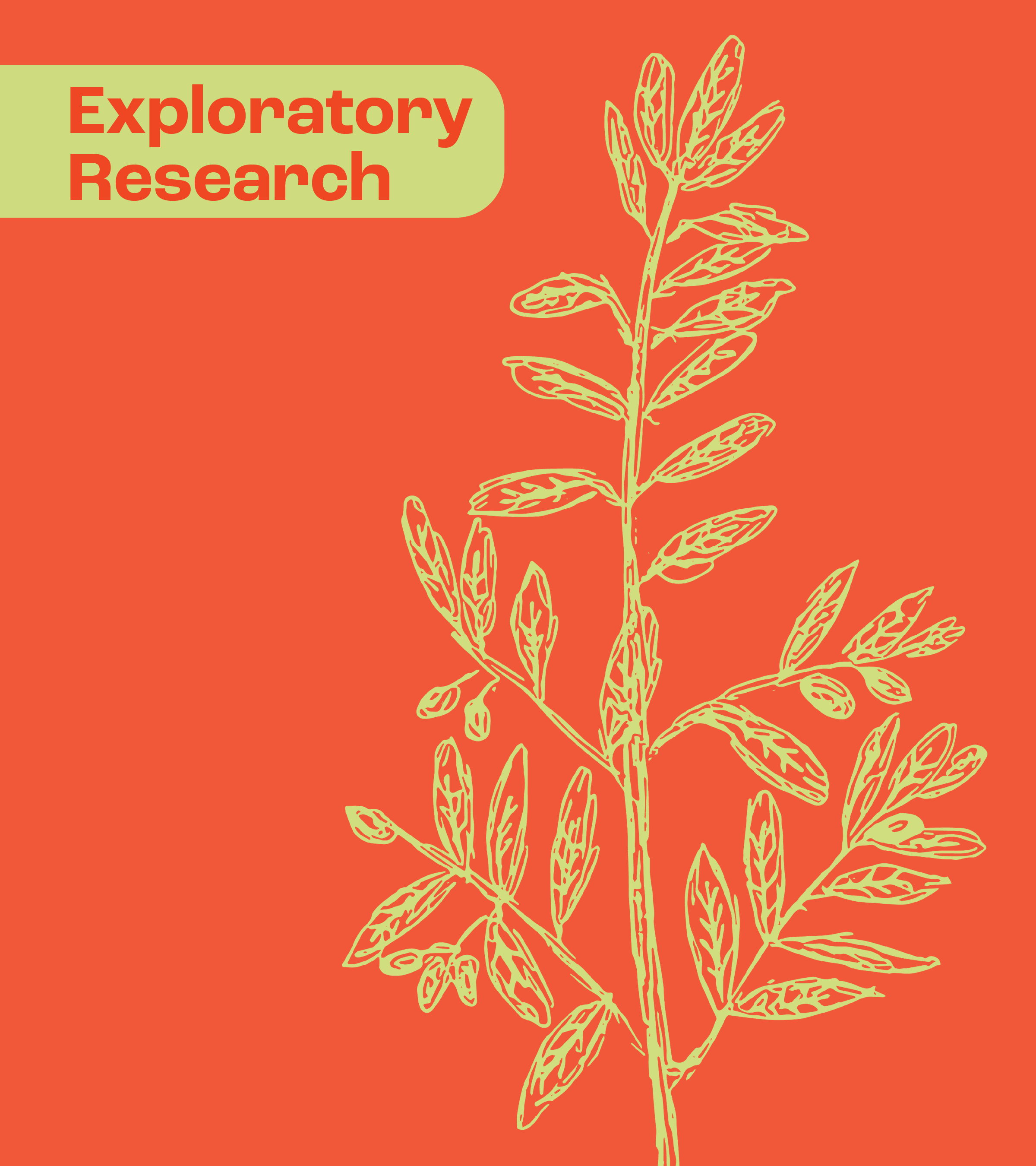 Exploratory Research image