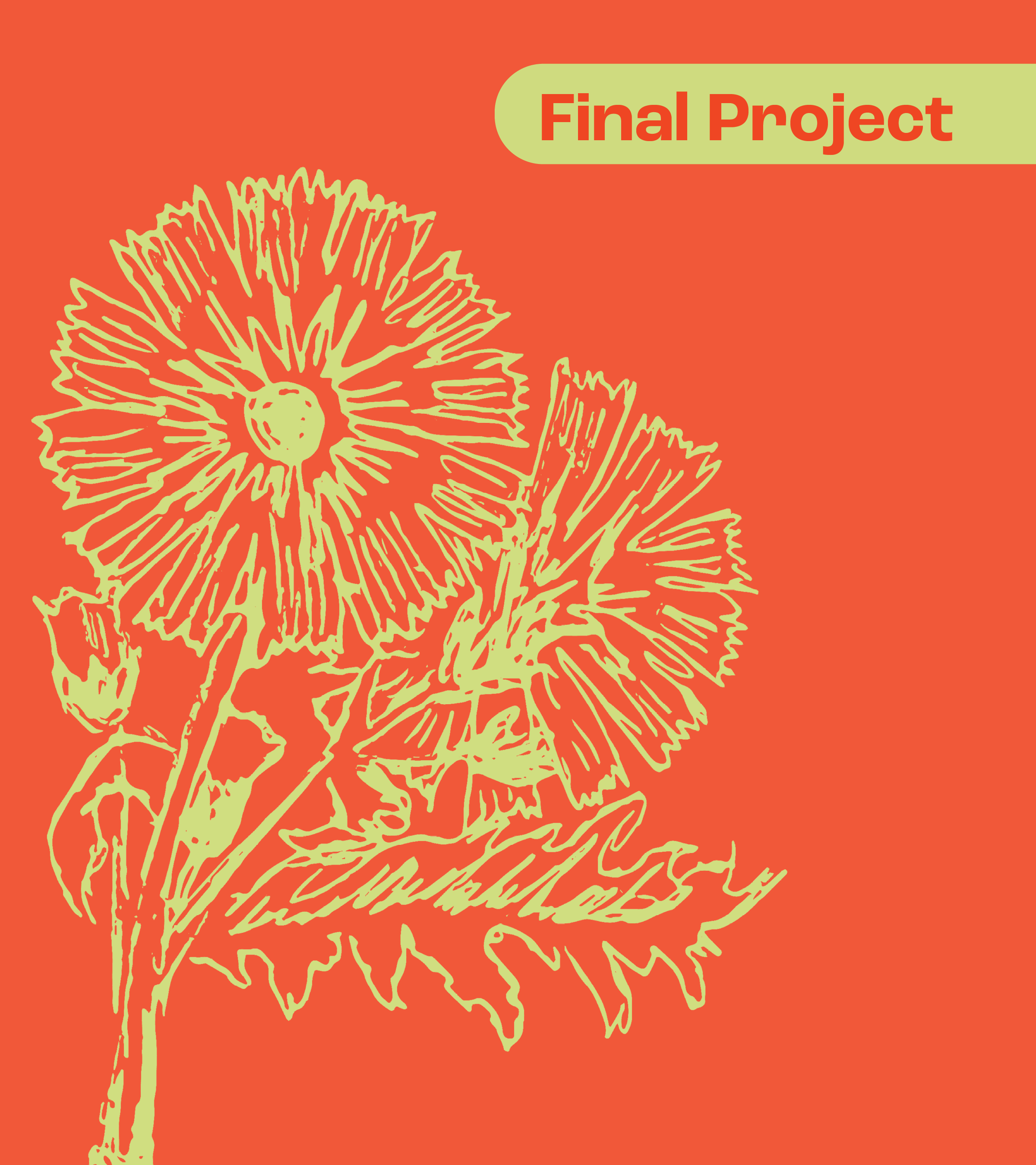 Final Project Image