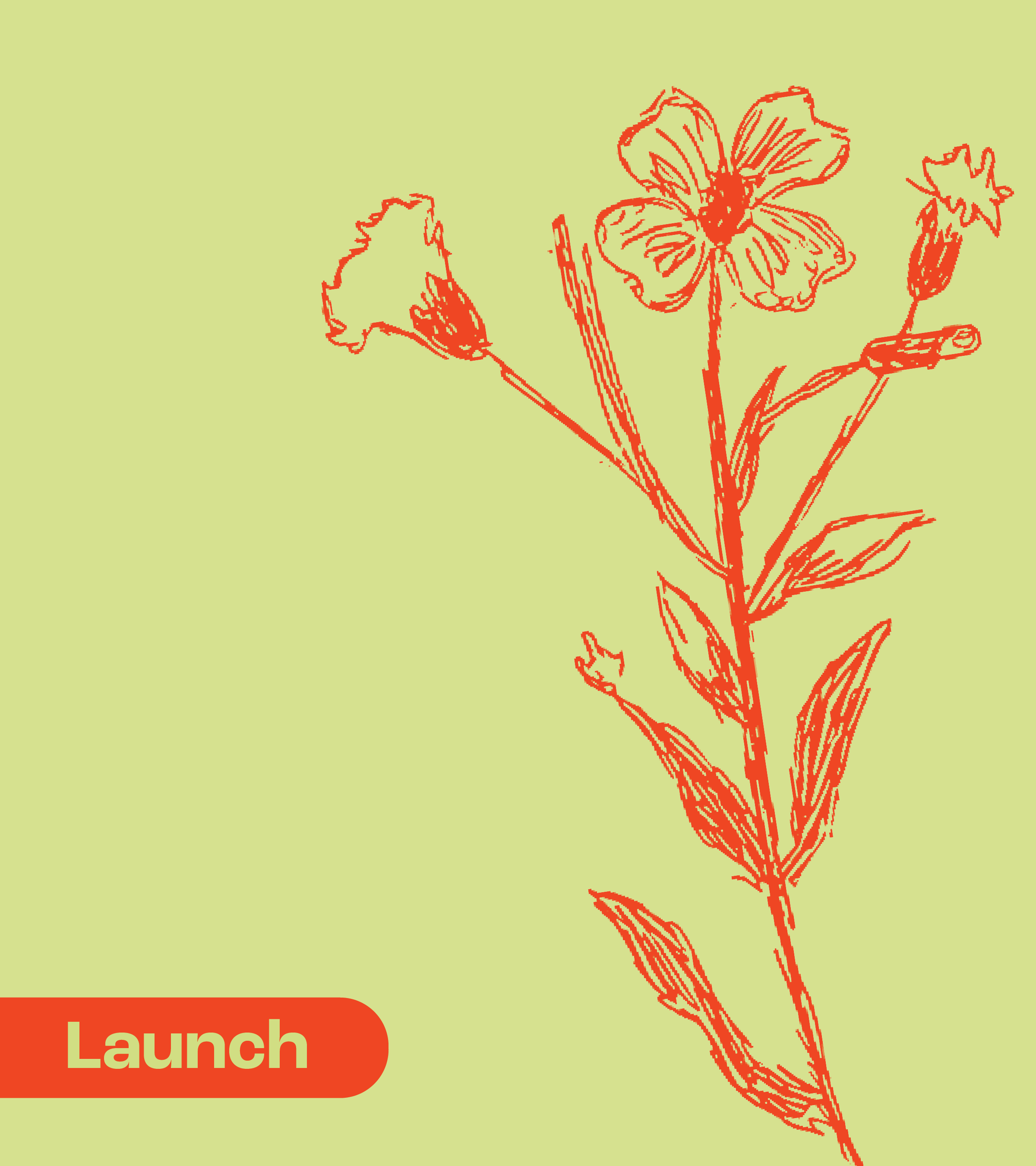 Lanch/Handoff Deliverables Image