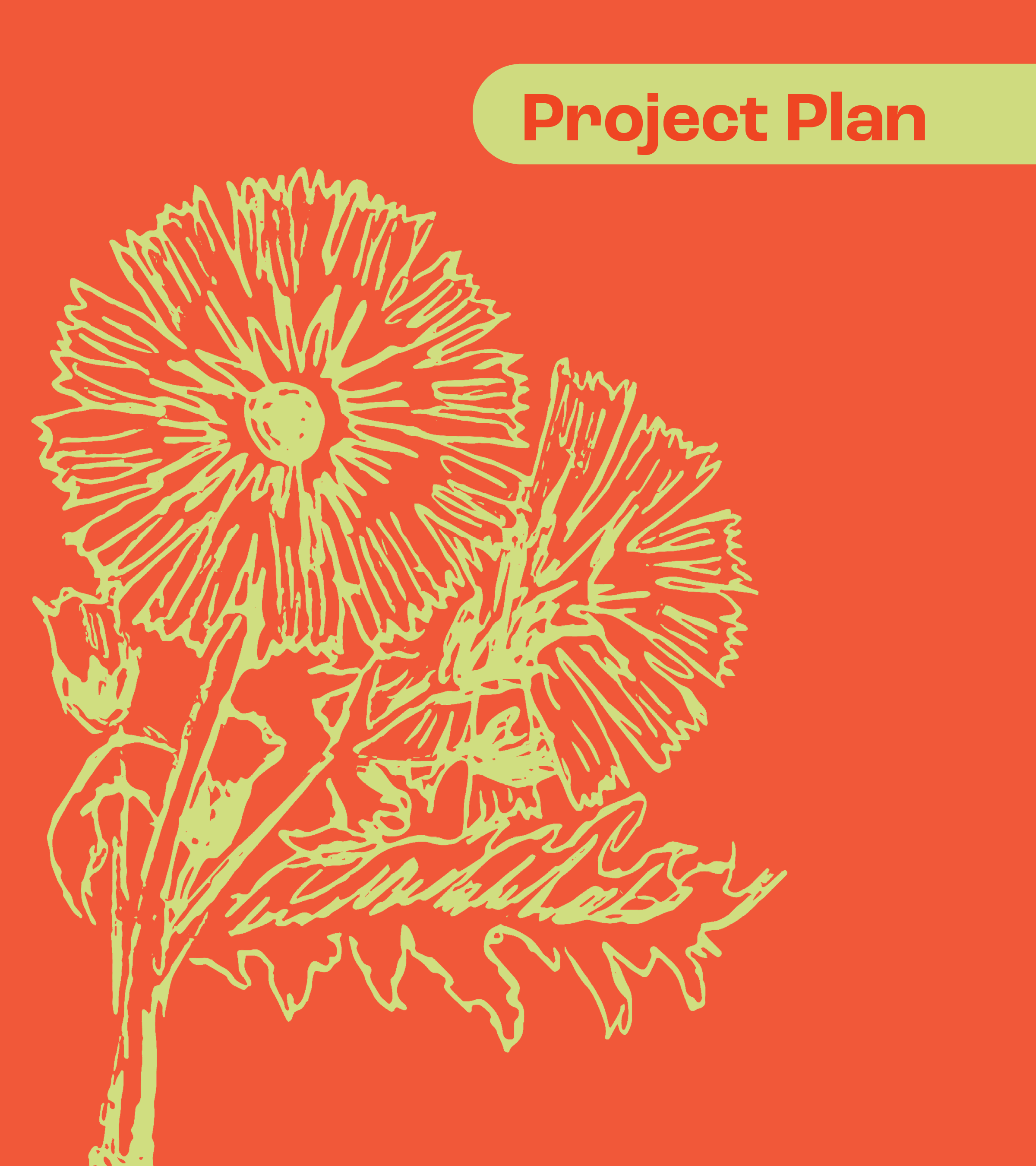 Project Plan Image