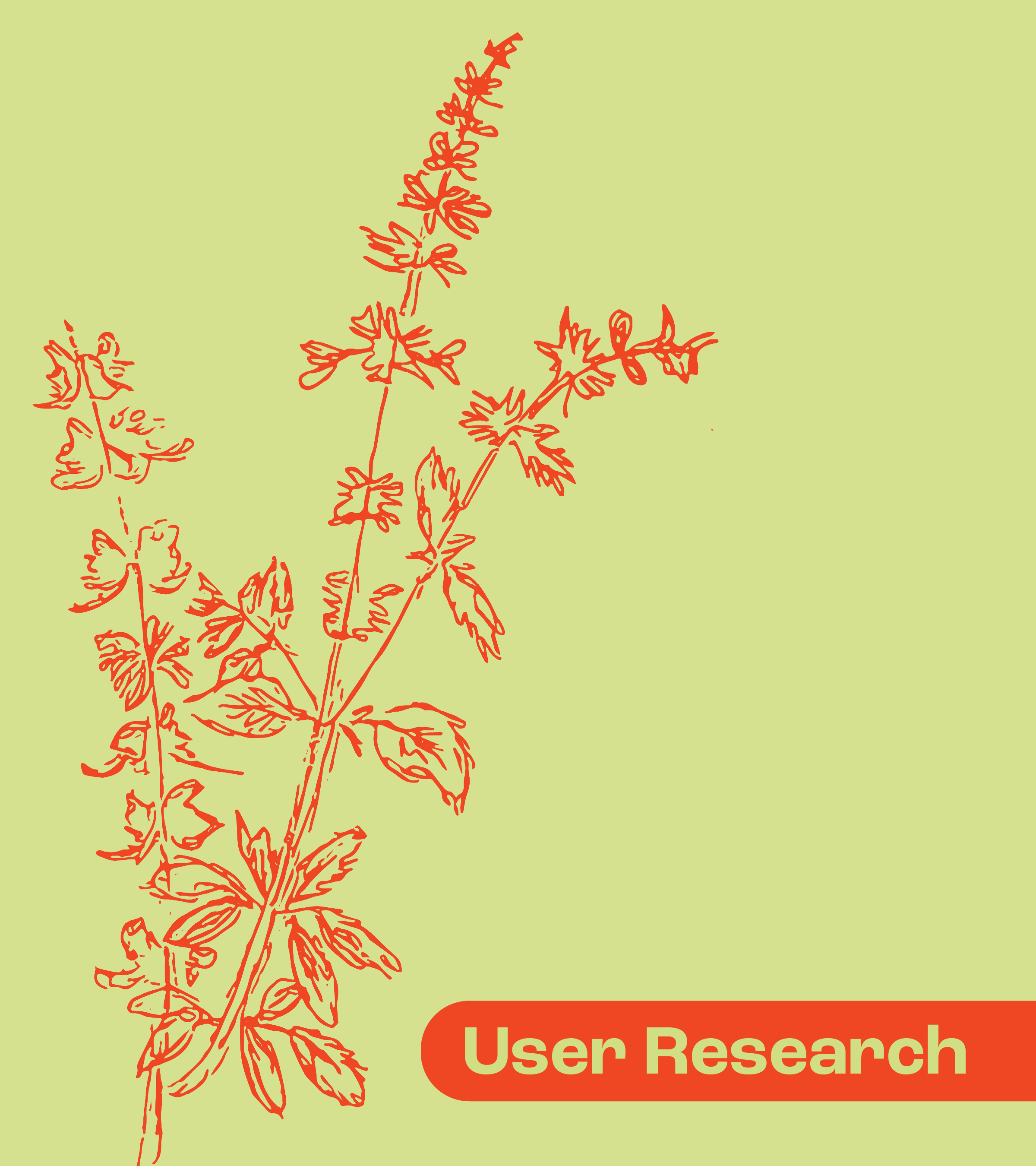 User Research Image
